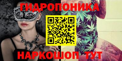кокс Анапа