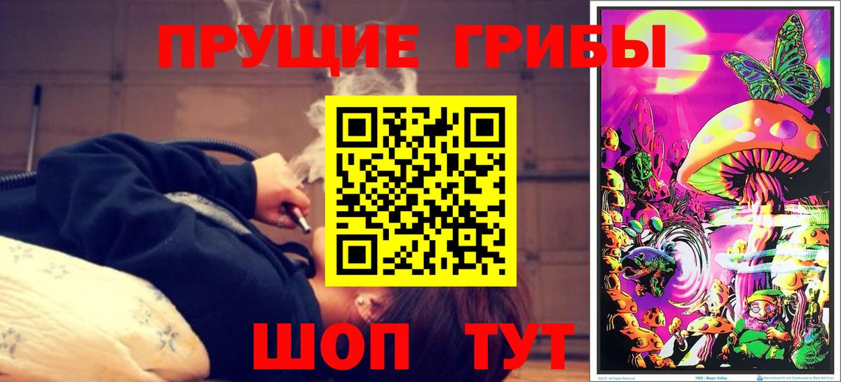Воскресенск  Псилоцибиновые грибы мицелий  Вход с VPN 