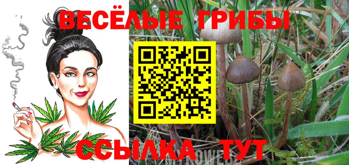 Галлюциногенные грибы MAGIC MUSHROOMS Воскресенск